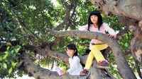 幼兒-樹-爬樹-幼兒在爬樹
