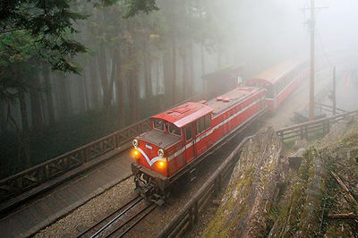 阿里山-火車-森林小火車-觀光火車