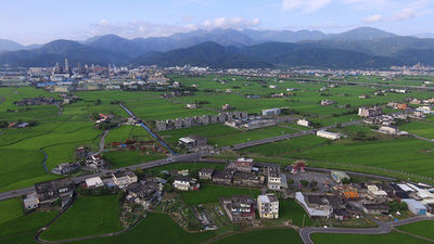 田野