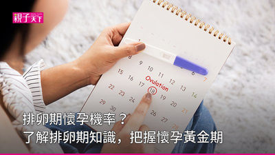 排卵期懷孕機率