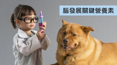 小女孩-狗