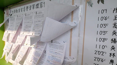 SEL-發展