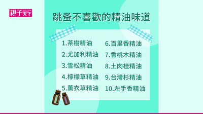 跳蚤怕什麼-氣味-精油