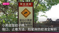 小黑蚊是蚊子嗎？傷口、止癢方法、剋星與防