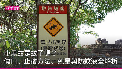 小黑蚊是蚊子嗎？傷口、止癢方法、剋星與防